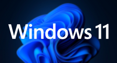 Township for Windows 11